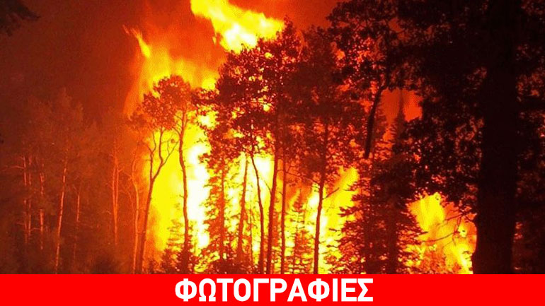 Ανεξέλεγκτη πυρκαγιά στον δήμο Τριφυλίας