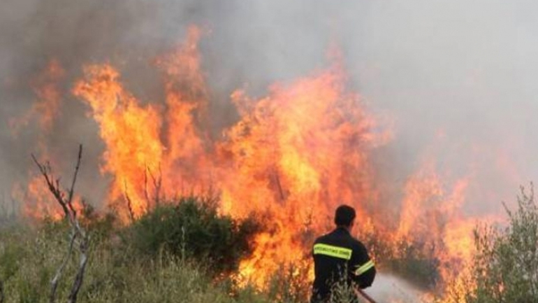 Πάτρα: Μεγάλη φωτιά στο Δρέπανο Πάτρα: Μεγάλη φωτιά στο Δρέπανο