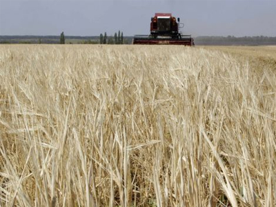 Ουκρανία: Πρόβλεψη για απώλεια 15% της σοδειάς σε σιτηρά