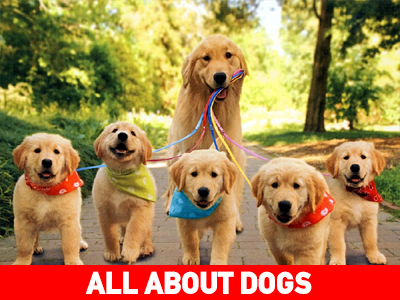 Κοινωνικοποίηση: Το κλειδί της ευτυχίας