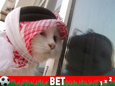 Ποια προκριματικά; Ιρλανδικό