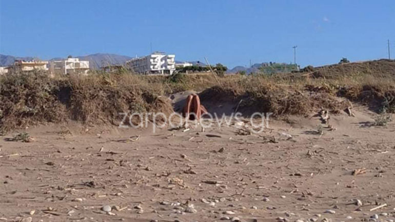 Πρωτοφανές περιστατικό σεξουαλικής παρενόχλησης σε παραλία των Χανίων