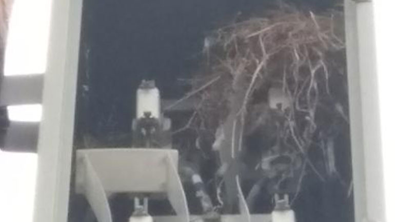 Στην Κοντοβάζαινα Γορτυνίας, η Ελλάδα (και η αδιαφορία) αναστενάζει