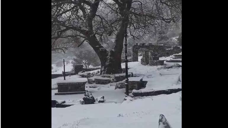 Το έστρωσε στη Φυλή