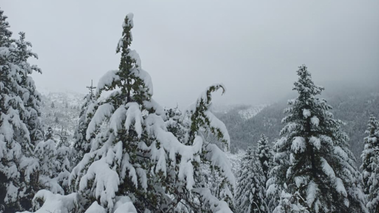 «Διομήδης»: Δύσκολη η κατάσταση σε χωριά της Ναυπακτίας – Χωρίς ρεύμα και με κλειστούς δρόμους «Διομήδης»: Δύσκολη η κατάσταση σε χωριά της Ναυπακτίας – Χωρίς ρεύμα και με κλειστούς δρόμους