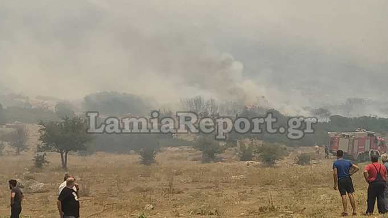 Ισχυρές πυροσβεστικές δυνάμεις στην Ελάτεια – Επιχειρούν 5 αεροπλάνα και ελικόπτερο