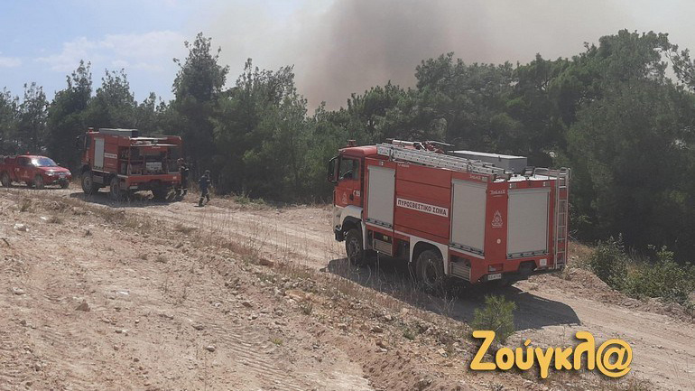 Φωτιά στον Έβρο: Μάχη στη Δαδιά να μην περάσει η φωτιά στο Εθνικό Πάρκο