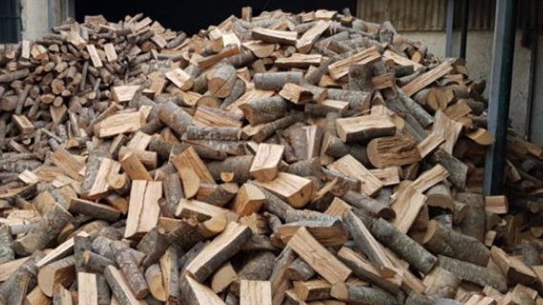 Νομοσχέδιο: Απαγορεύεται η αποστολή και εξαγωγή προϊόντων υλοτομίας ως την 1η Μαρτίου 2023