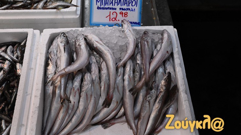 Γιατί πρέπει να αποφεύγουμε τα μπακαλιαράκια κάτω των 20 εκατοστών – Τι πρέπει να προσέξουν οι καταναλωτές