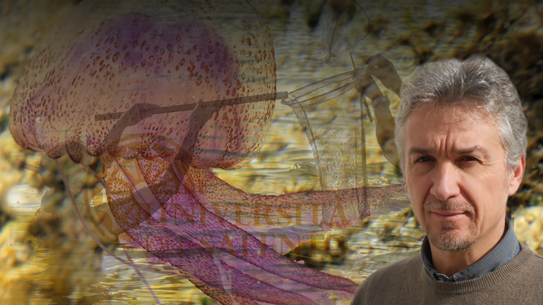 “Aνίκητες οι μέδουσες” “Aνίκητες οι μέδουσες”