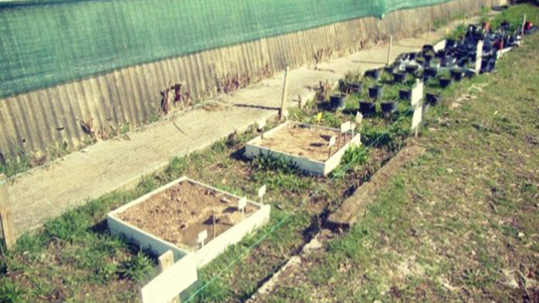 Πειράματα στο 1ο ΕΠΑΛ Λάρισας σχετικά με την καύση φυτικών υπολειμμάτων