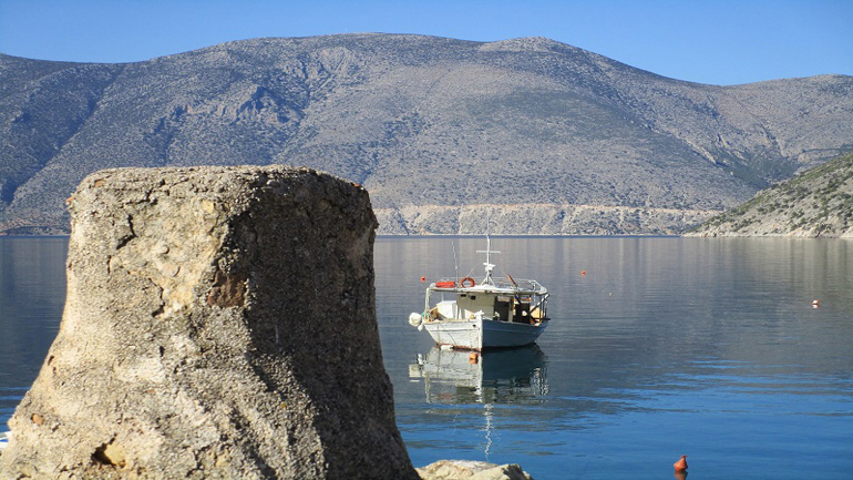 Η γραφειοκρατία ακύρωσε το πιλοτικό πλωτό φράγμα για τις μέδουσες στην Αλυκή