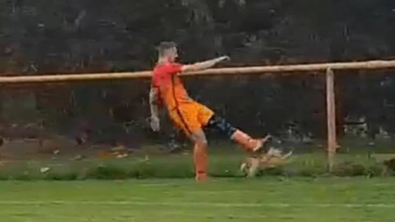 Ποδοσφαιριστής αποβλήθηκε γιατί σκότωσε κότα στο γήπεδο!