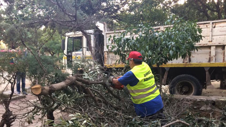 Επιχείρηση καθαρισμού και ανάπλασης στη Λαμπρινή