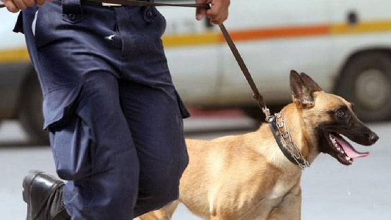 Σύλληψη νεαρού στη Ρόδο για μεταφορά τεσσάρων κιλών ηρωίνης