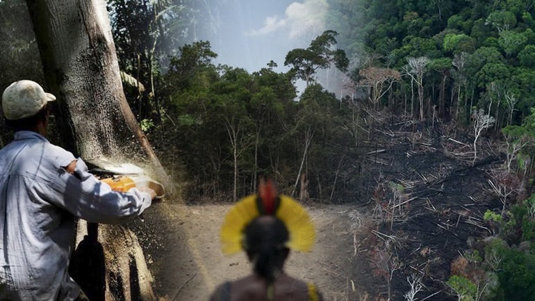 Βραζιλία: Καταστροφή ρεκόρ του τροπικού δάσους της Αμαζονίας