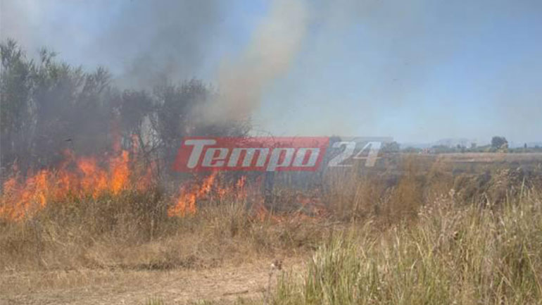 Σε εξέλιξη πυρκαγιά στη Ράχη Αχαΐας