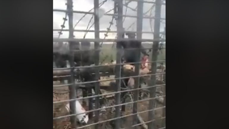 Έβρος: Μετανάστες πετούν πέτρες κρατώντας την τουρκική σημαία Έβρος: Μετανάστες πετούν πέτρες κρατώντας την τουρκική σημαία