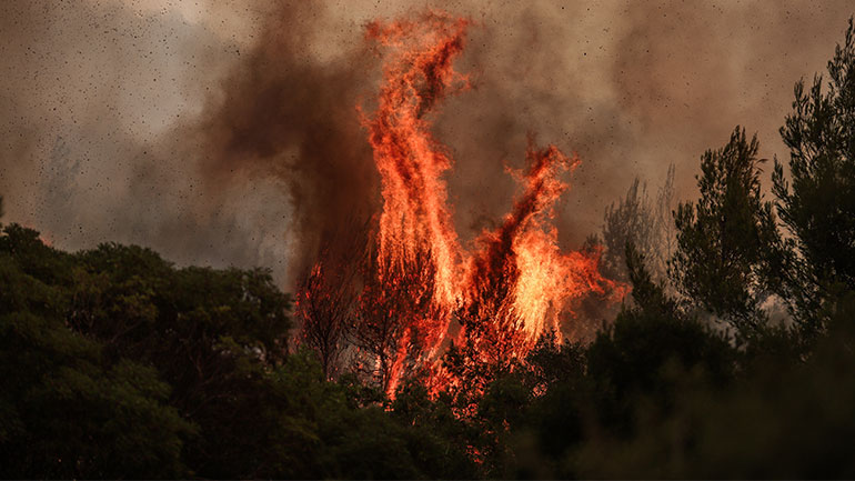 Δείτε ζωντανά εικόνα από τη φωτιά στην Πάρνηθα