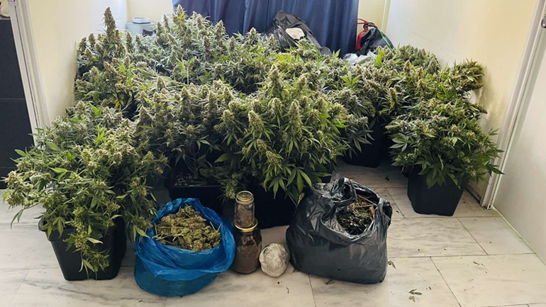 Eργαστήριο με υδροπονική κάνναβη διαμέρισμα στον Αγ. Παντελεήμονα