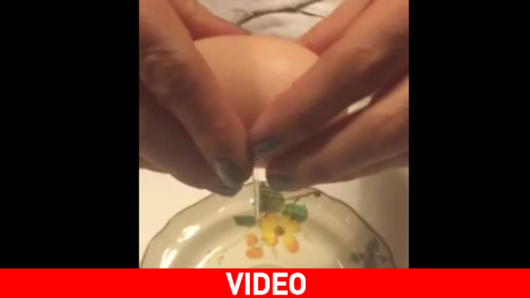 Μαντέψτε τι θα βγει μέσα από το αβγό…