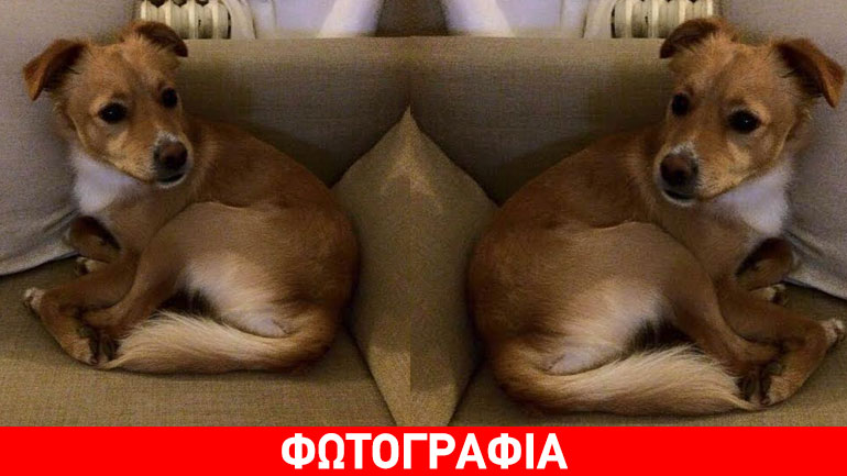 O Ferrero έχασε τον δρόμο για το σπίτι του. Βοηθήστε να γυρίσει πίσω!