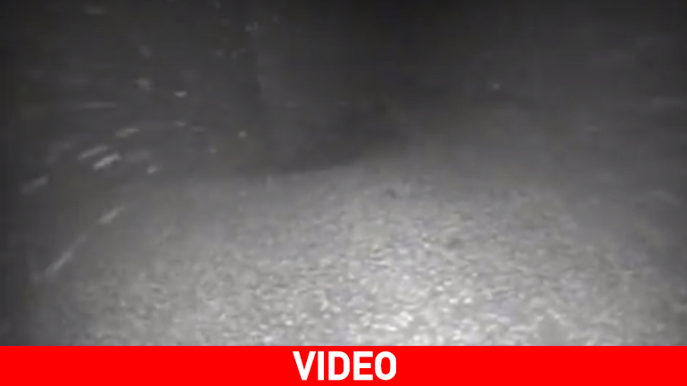 Βρέθηκε ναυάγιο ατμόπλοιου του 19ου αιώνα