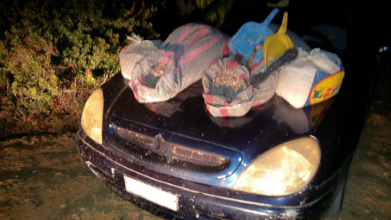 Χίος: Τους έπιασαν με κλεμμένη μαστίχα