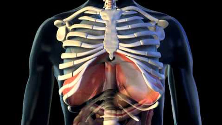 «Εκπαιδεύστε» το διάφραγμα για καλύτερη αναπνοή και αθλητική απόδοση