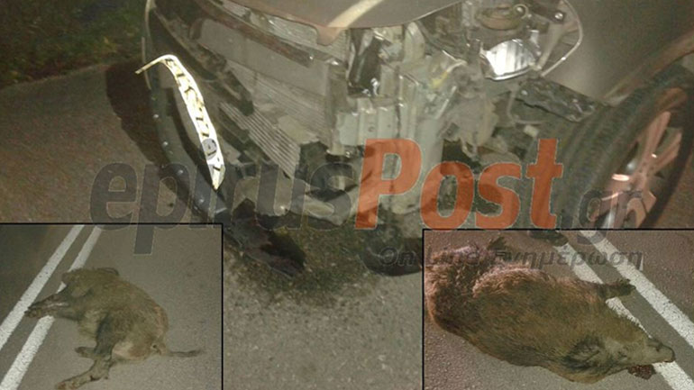 Απίστευτο τροχαίο με αγριογούρουνο στην Ήπειρο