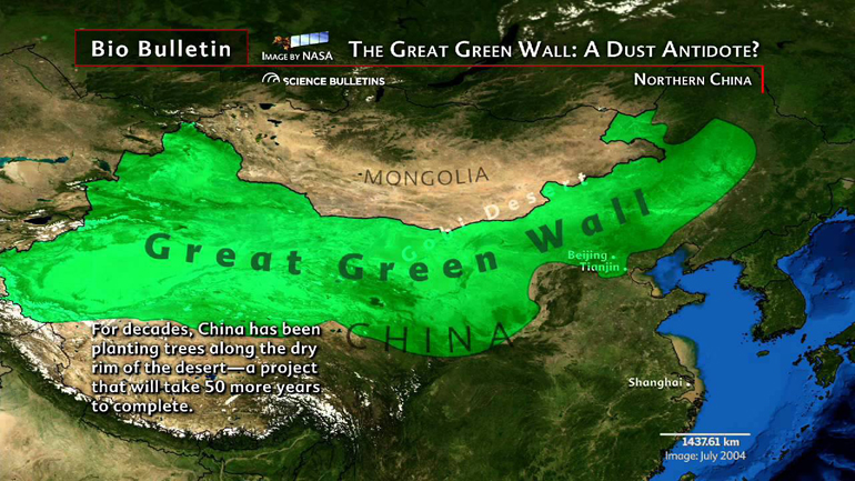 Κίνα: Tο μεγάλο Πράσινο Τείχος με 100 δισ. δέντρα μέτρο κατά της ερημοποίησης
