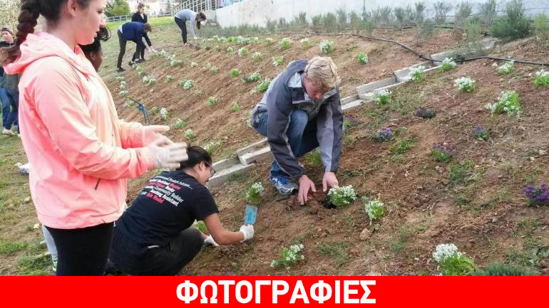 Θεσσαλονίκη: Αμερικανοί φοιτητές φύτεψαν αρωματικά φυτά στο Ελαιόρεμα