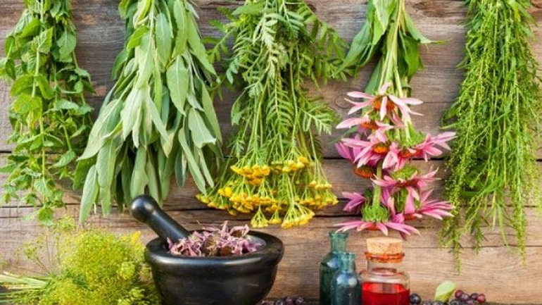 Tα θαυματουργά βότανα που βοηθούν την αναπνοή και καθαρίζουν τα πνευμόνια