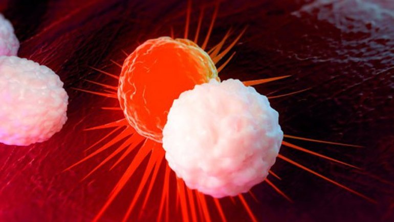 Παιδική λευχαιμία θεραπεύτηκε με πειραματική γονιδιακή ανοσοθεραπεία