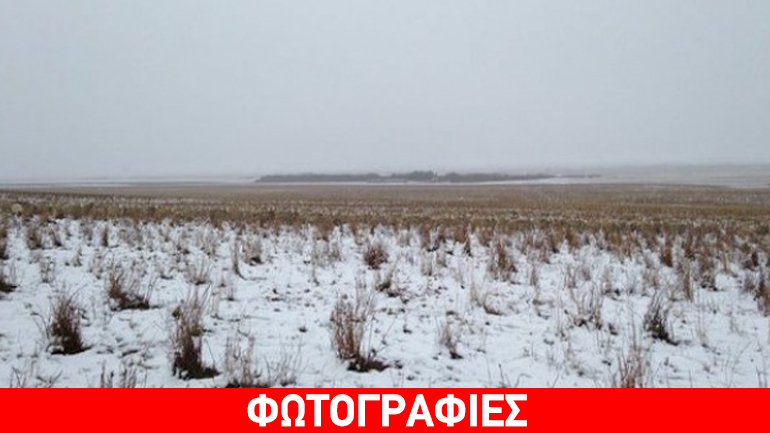 Σε αυτή τη φωτογραφία υπάρχουν 500 πρόβατα- Μπορείτε να τα δείτε;