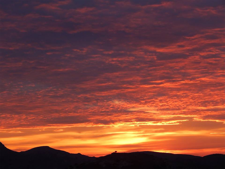 Φωτο: Θύμιος Λουλ