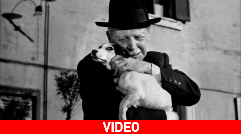 Umberto D.