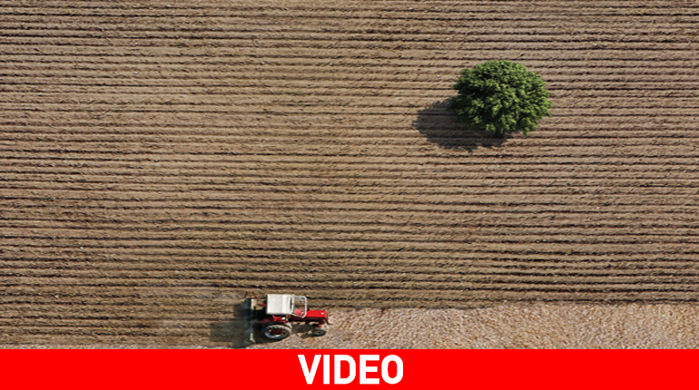 Αρκαδία Χαίρε