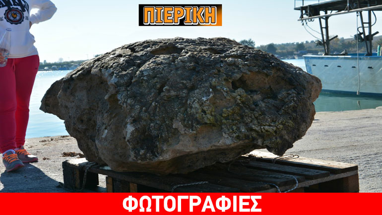 Πιερία: Βρέθηκαν απολιθωμένες χελώνες ηλικίας τουλάχιστον 2,5 εκατομμυρίων ετών