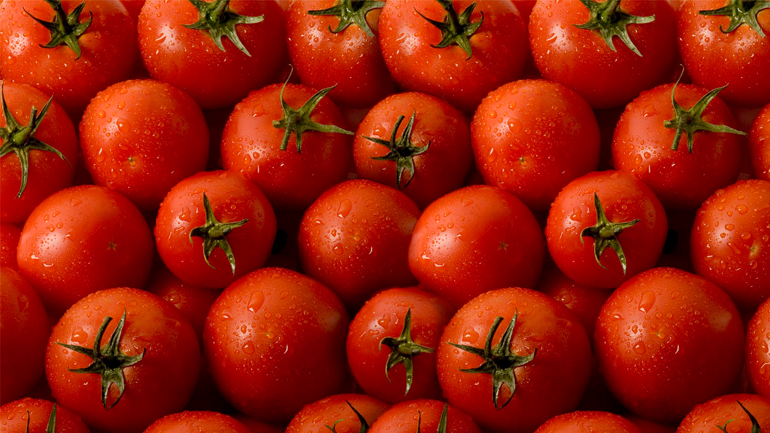 Ρέντη: Δέσμευση 21 τόνων ντομάτας