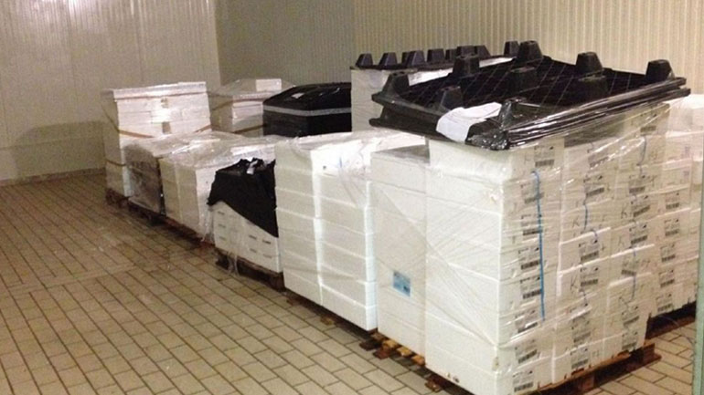 Δέσμευση αλιευμάτων στην ιχθυόσκαλα Κερατσινίου