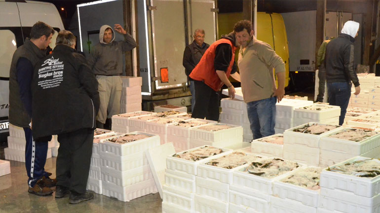 Αποκλεισμό λιμανιών σχεδιάζουν οι αλιείς του Βόλου