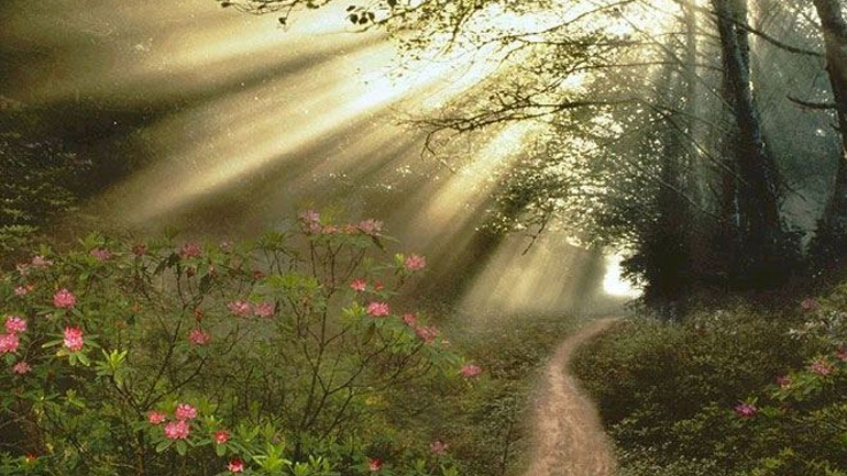 Τεστ προσωπικότητας: Εσείς ποιο μονοπάτι θα διαλέξετε;