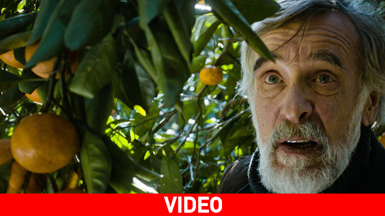 Μανταρίνια