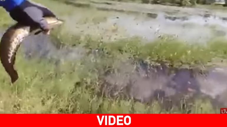 Ταϊλάνδη: Απροσδόκητη εξέλιξη για τον αλιέα