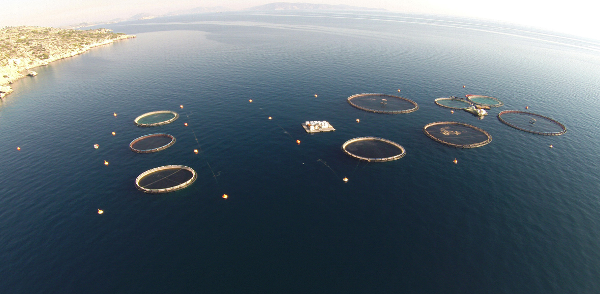 Ο ενάλιος πλούτος μας