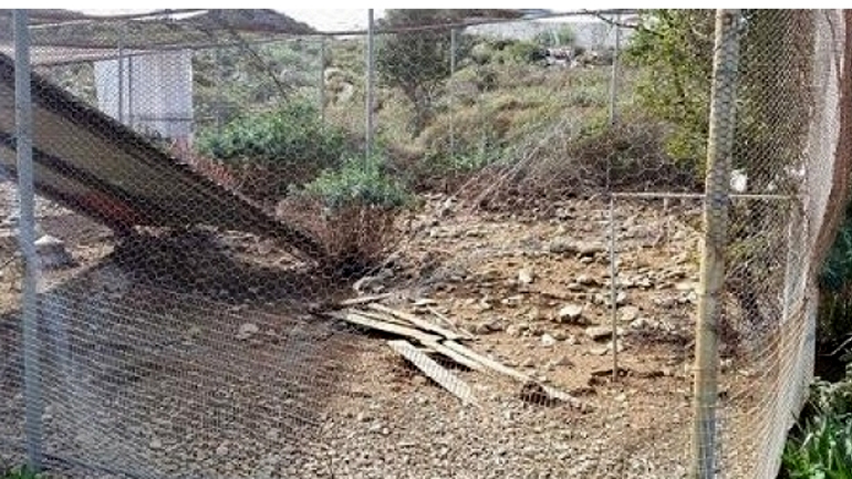 Κρήτη: Έκλεψαν… 200 πέρδικες