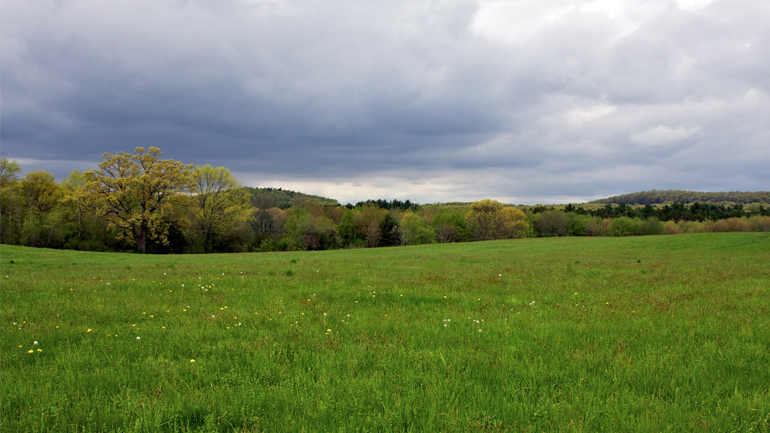 Επέστρεφε από το χωράφι και συνάντησε τον θάνατο