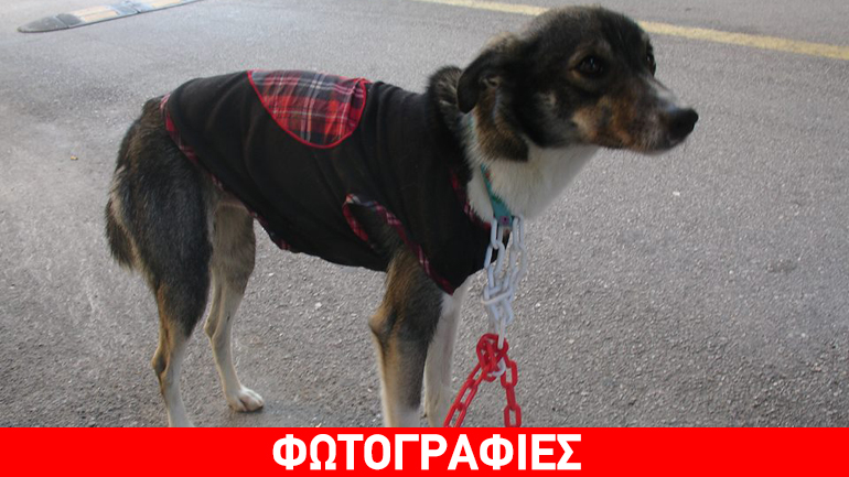 Βοηθήστε να βρεθεί