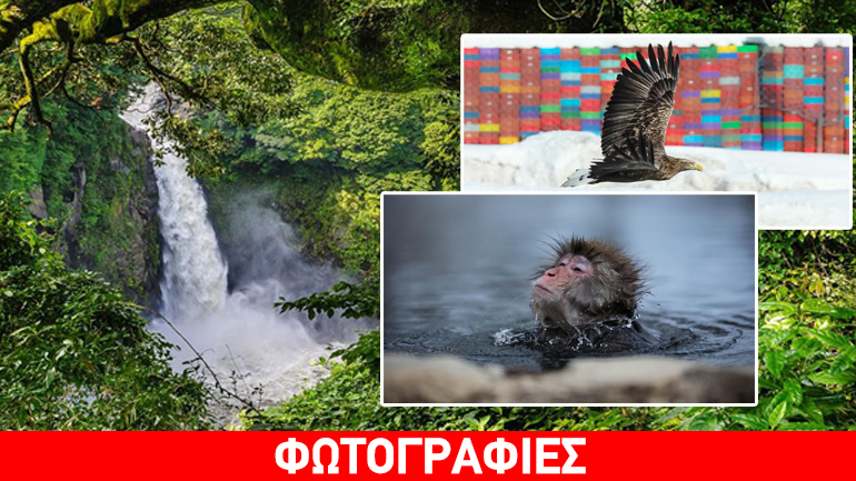 Η… άγρια πλευρά της Ιαπωνίας